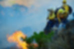 Firefighters working on a steep ravine to try and extinguish wildfires