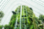 Image of an impressive indoor structure within a large glass room. The structure is covered in lush greenery and featured multiple waterfalls