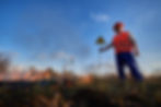 Man in PPE vest holds a caution sign amidst forest brush on fire
