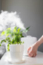 Household plants in white containers on a countertop beside room humidifier that is manually being adjusted by a female hand