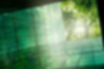 Looking up at exterior foliage from within a glass office building