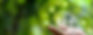 What are ESG Goals and Why Are They Important?